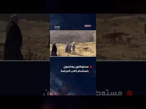 مستوطنون يهاجمون عائلة فلسطينية في جنوب الخليل
