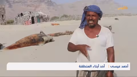 نفوق الدلافين في سقطرى: كارثة بيئية وتأثير على السكان