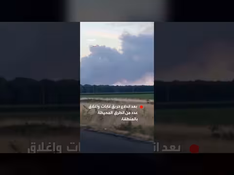 سحابة دخان تغطي جنوب باريس بعد حريق غابات