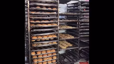 حملة تفتيش على المخابز في المخا لتثبيت أسعار الخبز