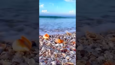 شاطئ الأصداف