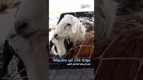 اليمن: غلاء الأسعار، دعم خليجي، وتقارير حول التعذيب والتهريب