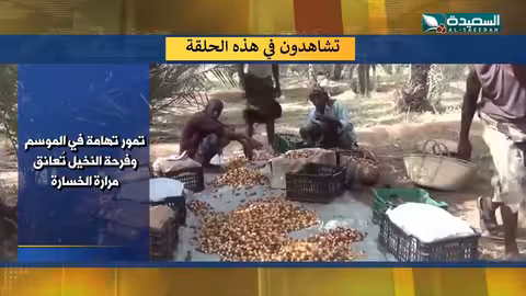 غزة... كنوز أثرية تعود... ومهرجان حضرموت يحتفي بالتراث