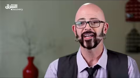 ترويض القطط الشقية: تنمر القطط - الحلقة 11