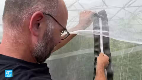 فرنسا تبتكر قطاع الأزهار بطريقة مستدامة