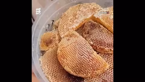 مساعٍ حوثية لفرض جبايات جديدة على النحالين في صنعاء