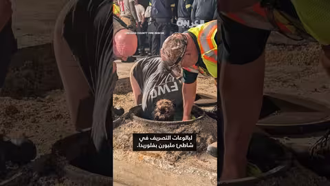 إنقاذ حيوان بحري ضخم من بالوعة تصريف في فلوريدا