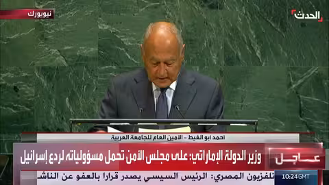 أبو الغيط يدعو لحماية الفلسطينيين وتنفيذ حل الدولتين