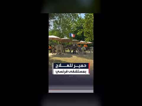 مستشفى نفسي قرب باريس يستخدم الحمير في العلاج النفسي
