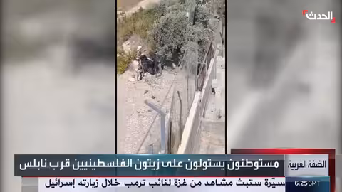 مستوطنون يسرقون زيتون الفلسطينيين قرب نابلس