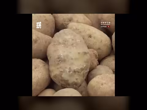 مليشيا الحوثي تغرق الأسواق بمنتجات مغشوشة