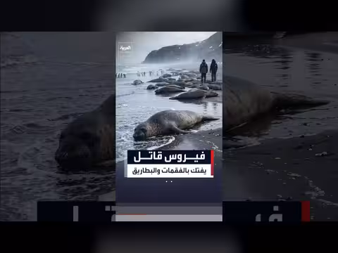 فيروس قاتل يفتك بالفقمات والبطاريق في القطب الجنوبي