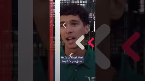 فلوريدا: البرد يتسبب في سقوط الإغوانا من الأشجار وتجميدها