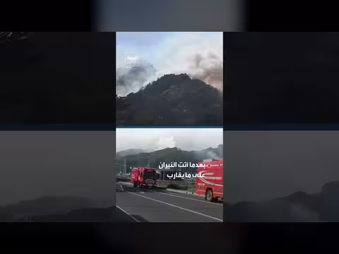 اليابان تخمد أكبر حريق غابات منذ عقود