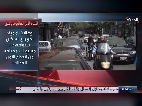 تحذيرات أممية من أزمة غذاء متفاقمة في لبنان