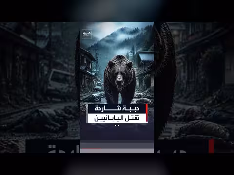 هجمات الدببة في اليابان تودي بحياة أشخاص