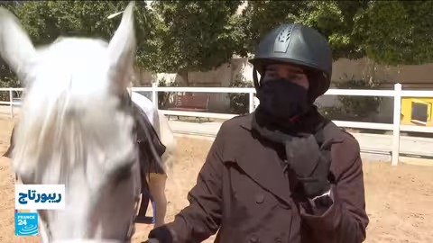 الفروسية في اليمن: بصيص أمل وسط الحرب والفقر