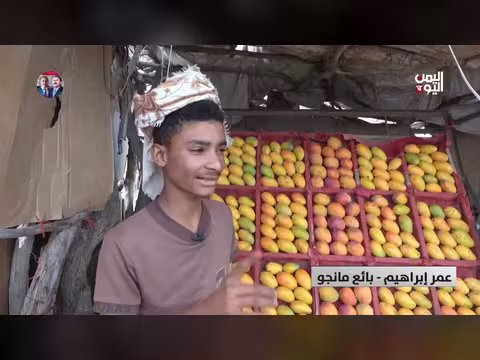 تدني إنتاج المانجو في لحج