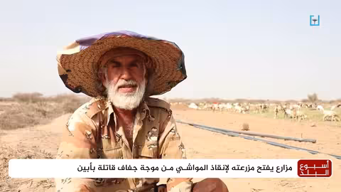القفاف يهدد تربية المواشي في أبين... ومناشدات بالتدخل العاجل