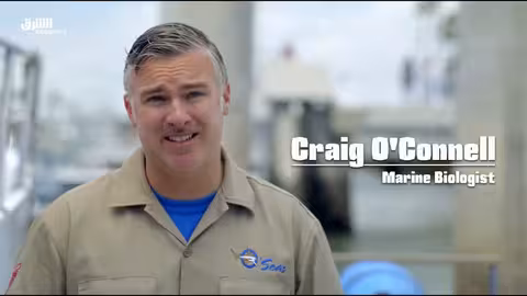 أسبوع القرش - تحت الأمواج... القرش الأبيض - الحلقة 14 | الشرق ديسكفري