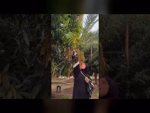 ماريا قحطان في وادي جارف