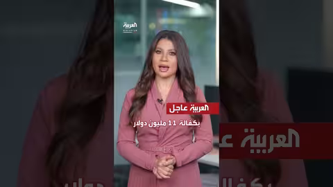 الإفراج عن هانيبال القذافي بكفالة... وغارة إسرائيلية في لبنان