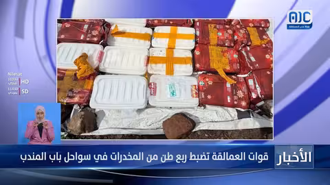 قوات العمالقة تضبط ربع طن من المخدرات في باب المندب