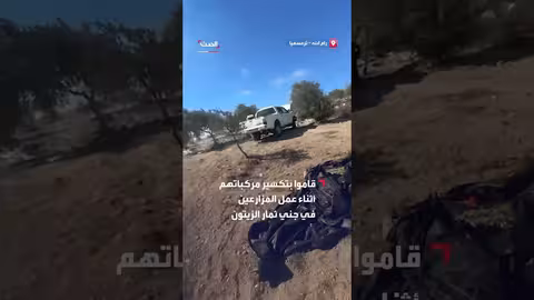 مستوطنون يهاجمون مزارعين في ترمسعيا شمال رام الله