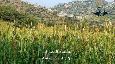 هيــامة الــصراب | ايوب طارش |