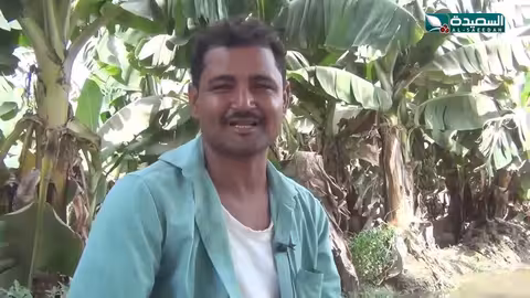 جفاف تهامة يهدد الأشجار ويزيد معاناة المزارعين.