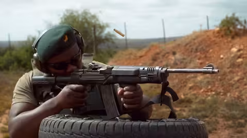 مواجهات الحياة البرية: قوة العض في عالم الحيوان