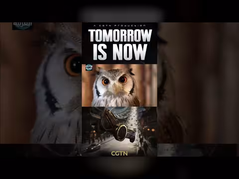 فيلم الغد يبدأ من اليوم: رحلة إلى مدن المستقبل الصينية