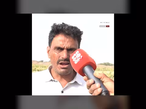 كساد يضرب محصول البصل اليمني