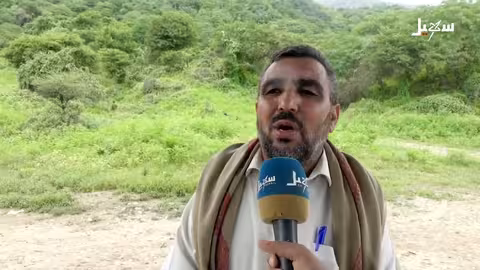 محمية حوف اليمنية: تنوع نباتي فريد بأكثر من 250 نوعًا