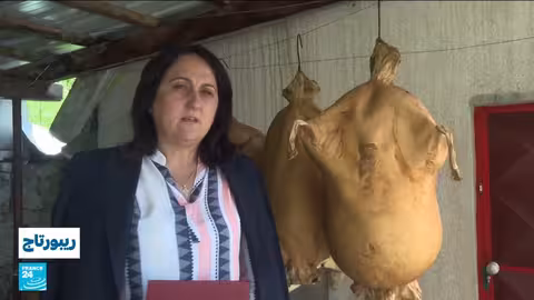 كاماك جاكو: جبنة تقليدية تحافظ على التراث وتعزز المجتمع