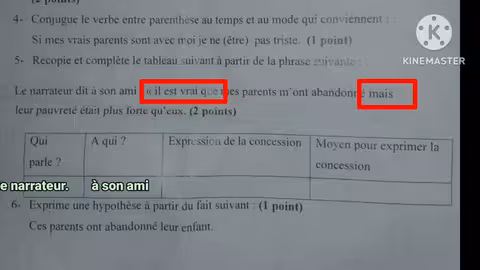 3ème année collège évaluation N3 deuxième semestre compréhension et langue