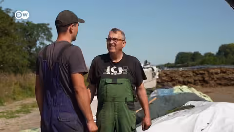 ريبورتاج | الزواج أم العزوبية؟ | وثائقية دي دبليو