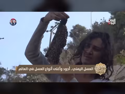 عسل الصدر اليمني: حكاية جبال السروات وطب أصيل