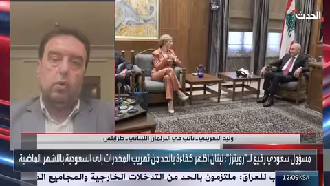 البعريني: التعاطي بإيجابية مع المبادرة السعودية وحصر السلاح ضروري لإنقاذ لبنان