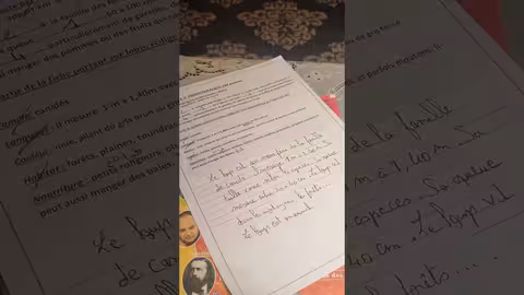 1ère année collège évaluation N4 deuxième semestre la production écrite décrire des animaux: le lion