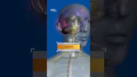 التبادل المادي في الدماغ #وثائقيات #shorts