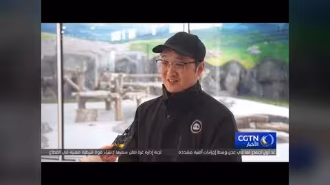 أورومتشي تستقبل الباندا العملاقة احتفالاً بعيد الربيع الصيني