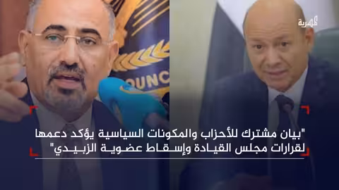 الأحزاب اليمنية تدعم قرارات مجلس القيادة