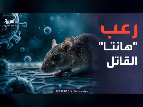 فيروس هانتا.. هل يهدد العالم بوباء جديد؟