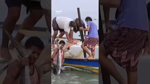 الألغام الحوثية في اليمن: مقتل وإصابة المئات من الصيادين