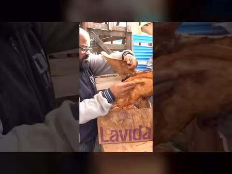 خبز التنور: موروث رمضاني لا يغيب عن المائدة الليبية