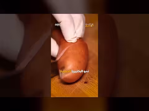 صناعة السجق: من القطع إلى المنتج النهائي