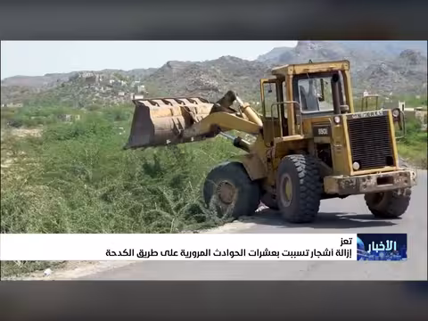إزالة أشجار تسببت بحادث مروري