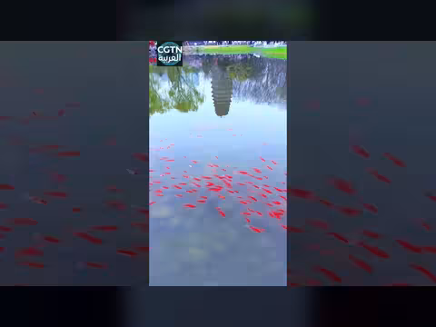 صورة مذهلة تخدع العقل بقلب الشاشة