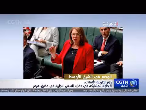 وزير الخارجية الألماني: لا حاجة لألمانيا في حماية السفن بمضيق هرمز